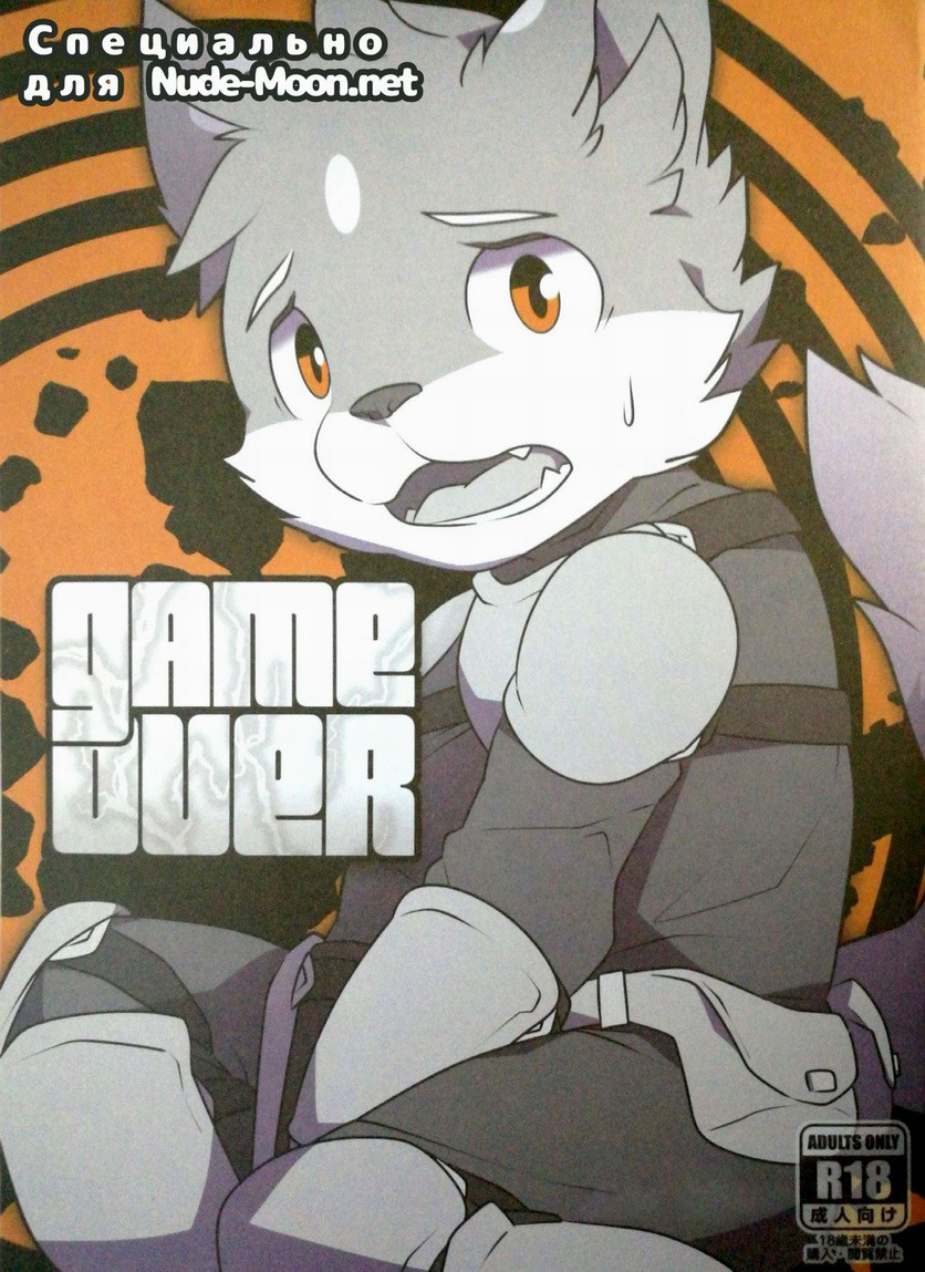Game Over / Игра окончена 0